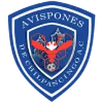 FC Chilpancingo logo