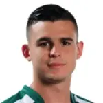 Nicolás Roa